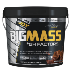 Bigjoy BIGMASS Gainer GH FACTORS ÇİKOLATA 5kg