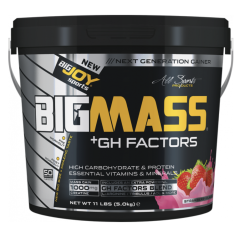 Bigjoy BIGMASS Gainer GH FACTORS ÇİLEK 5kg