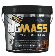 Bigjoy BIGMASS Gainer GH FACTORS ÇİKOLATA 3kg