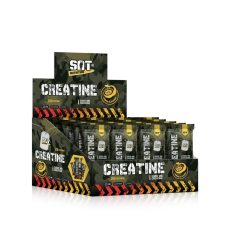 Sat Nutrition Creatine 20x7 GR. Limon Aromalı