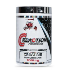 Protouch BigBang C-Reaction Creatine 400 Gr
